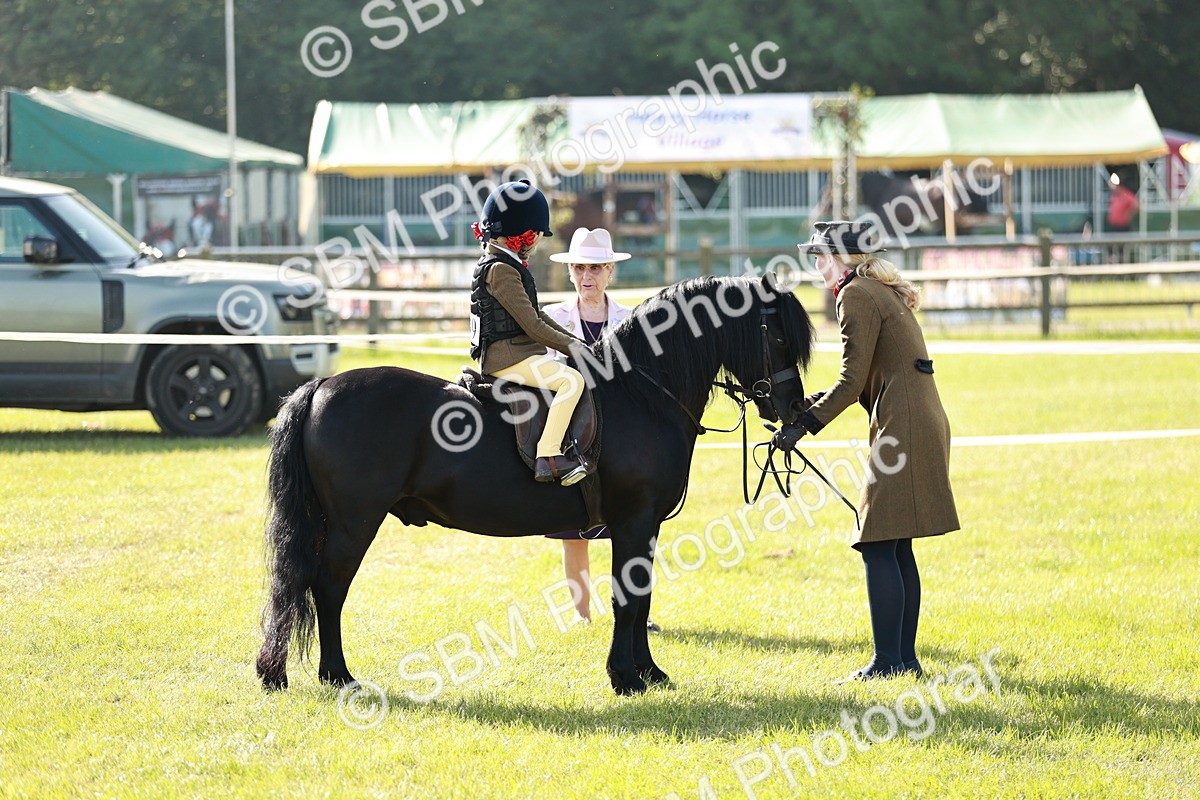 SBM_11264 - Class 106-107 - BSPS LIHS Working Sports Pony