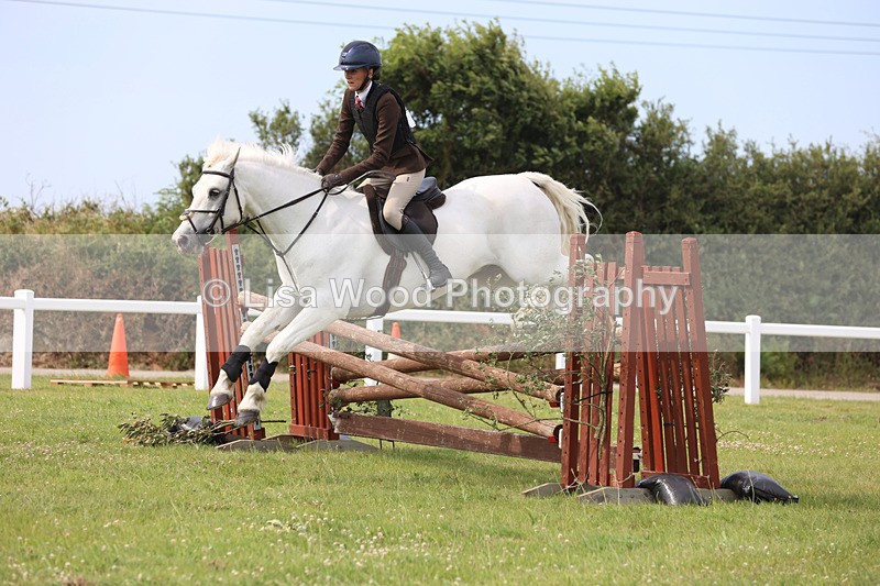 JPP_4021 - Class 24: Working Hunter 90cm