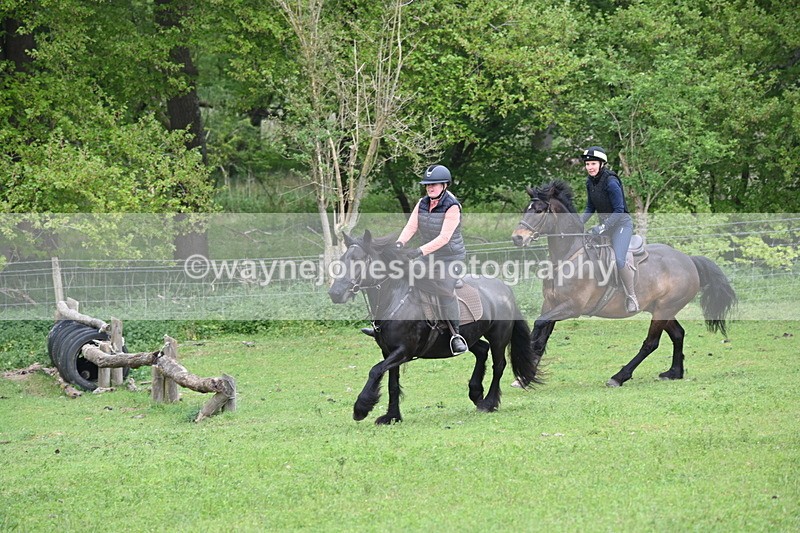 WJ6_2663 - A camera