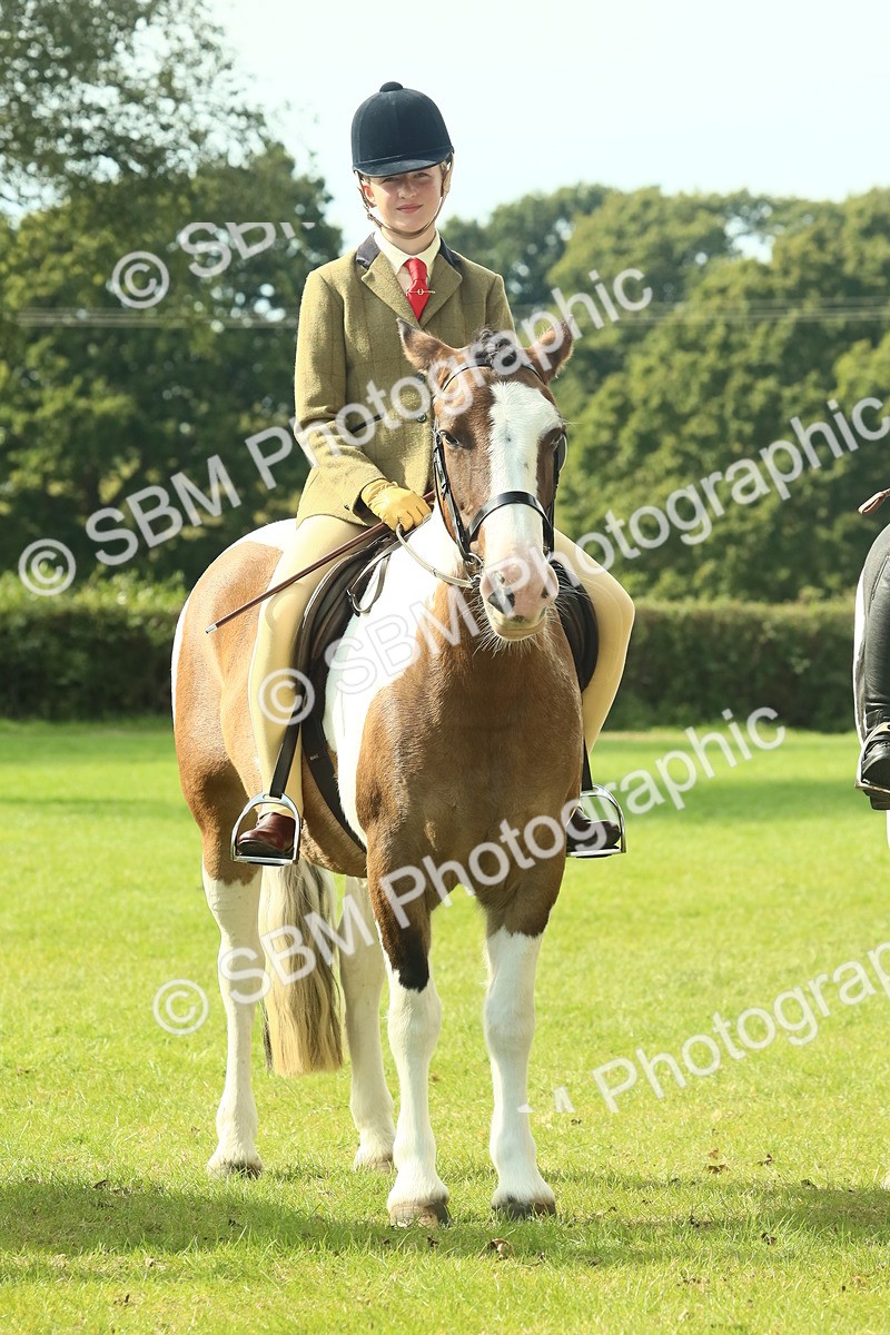 SBM_68947 - S58 - Mini Show Cob Ridden