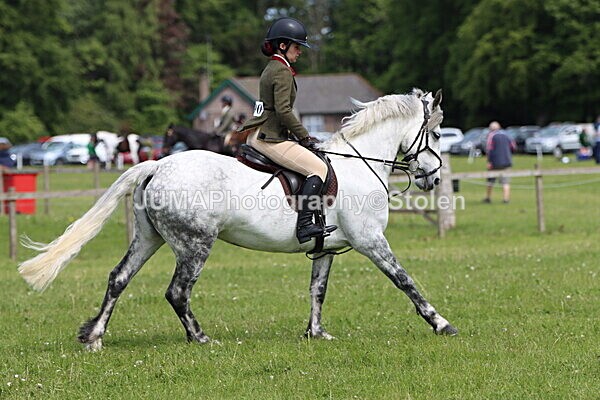 IMG_3423 - Working Hunter