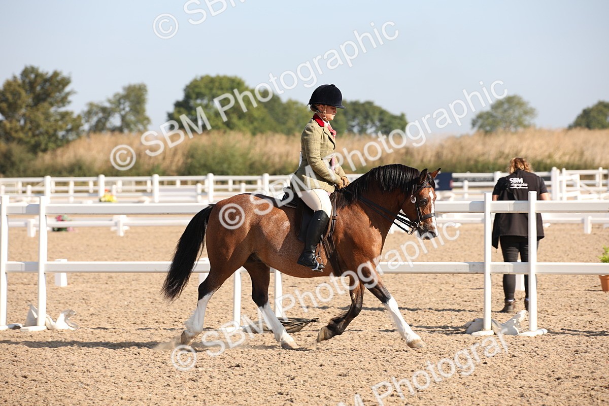 SBM_00789 - Class 14 Ridden M&M Wildcard