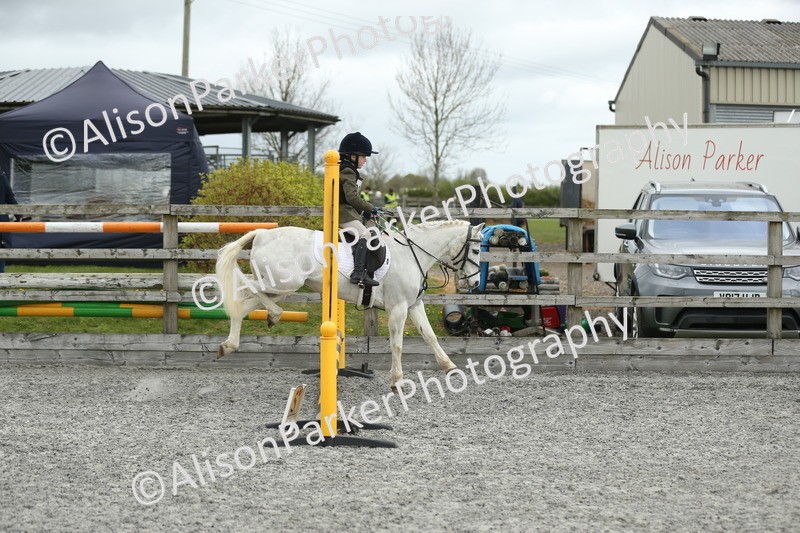 20260412-0659 - Show Jumping