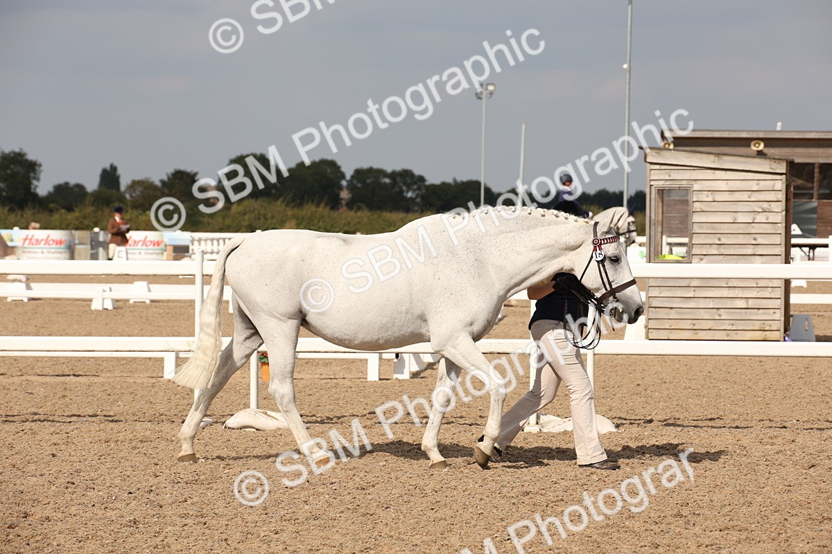SBM_07036 - Class 25 IH Foreign Breeds- Pure bred