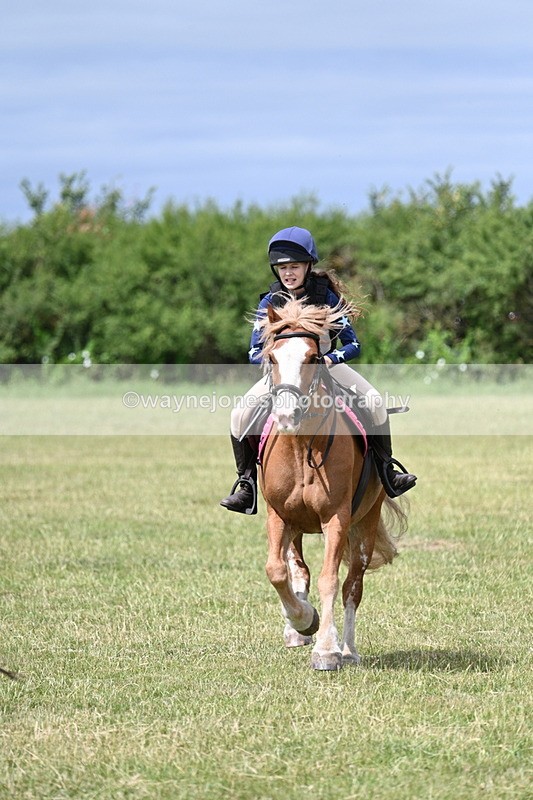 WJ7_5602 - 80cm XC Pairs