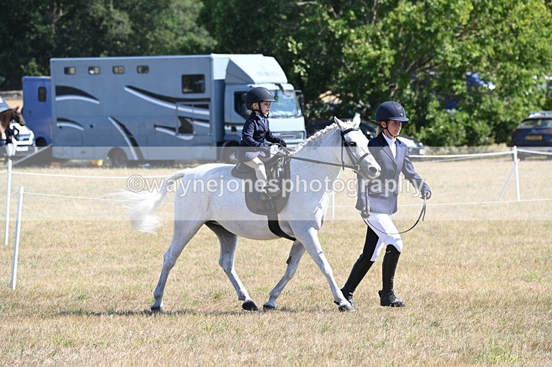 WJ6_7757 - Class 36 Lead Rein