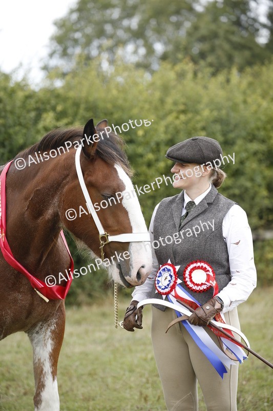 20250831-4506 - SUPREME CHAMPIONSHIP