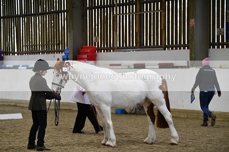 WJ5_5057 - Class 7 In hand coloured / odd coloured