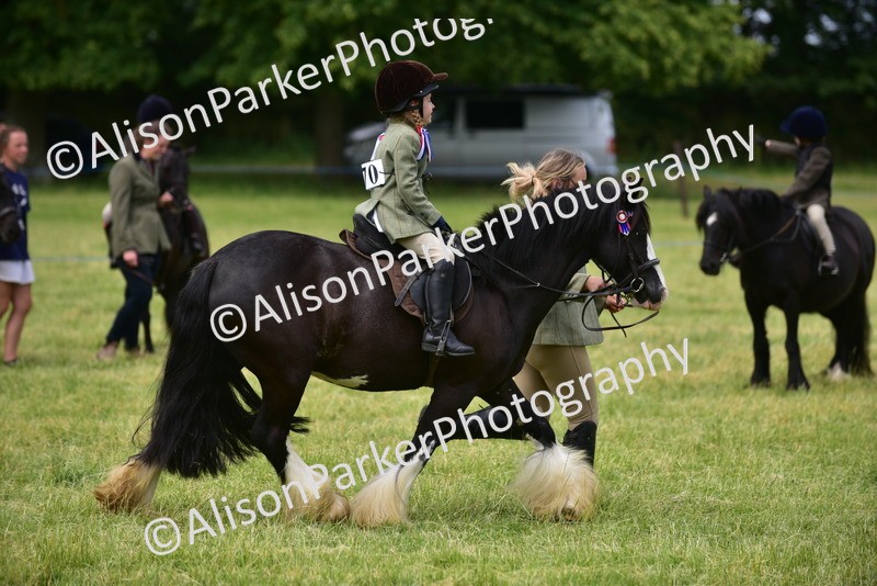 20260614-3662 - Class 15 - Prettiest Mare