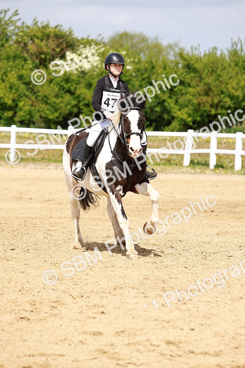 SBM_007984 - Class 3 - 60cm