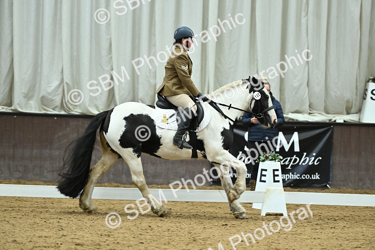 SBM_007384 - Class 81 - Novice 3