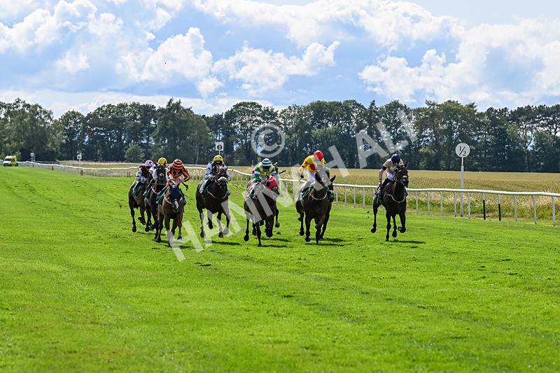 020725-Race 5-Mereside Madness-2568 - Race 5