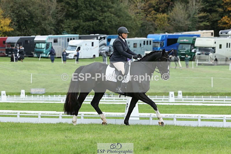 251023A-113757-03376 - D-315-Georgina.Marks