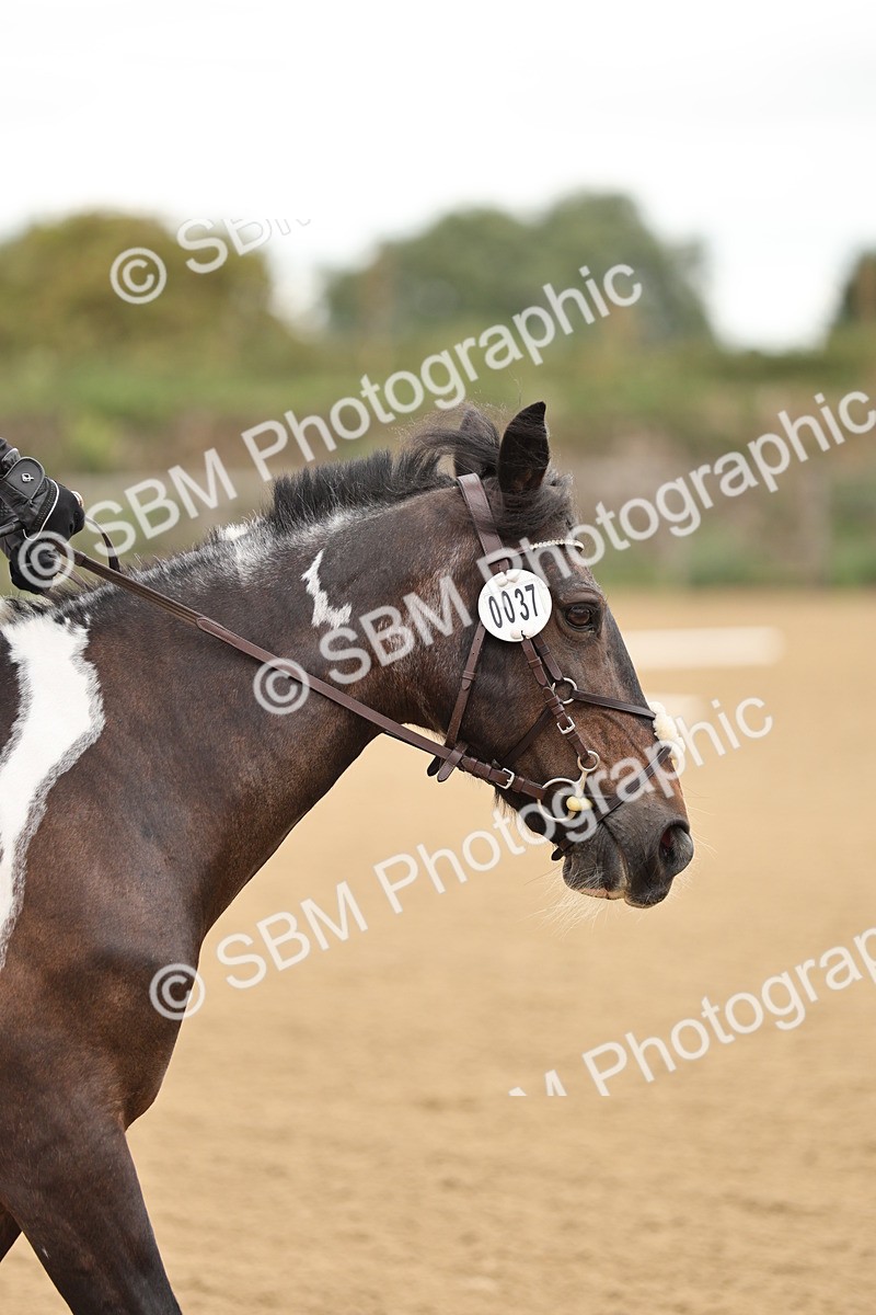 SBM_002088 - Intro 1-2