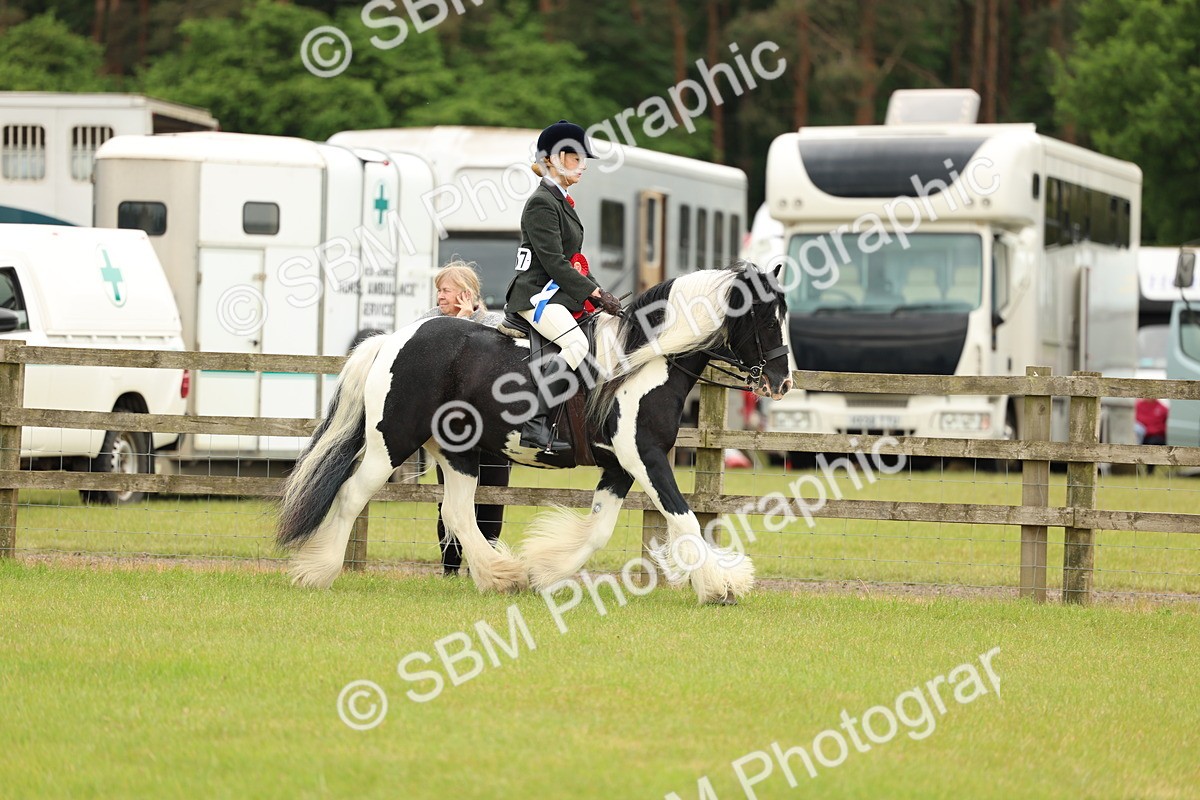 SBM_06364 - Class 39-41 TGCA In Hand and Ridden