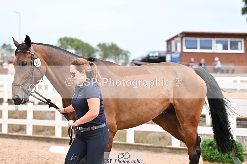 250716-154159-02138 - Trot Up 3.30 to 4.30