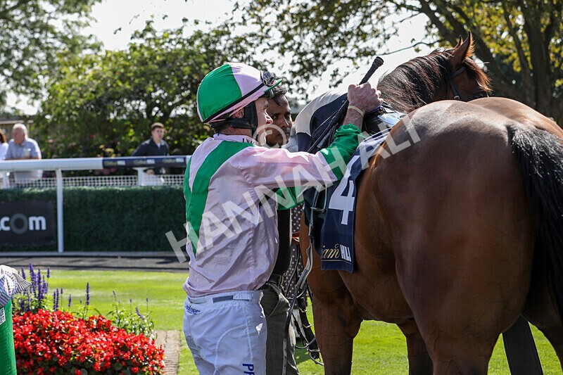 310824-Race 2-Democracy Dilemma-1204 - Race 2