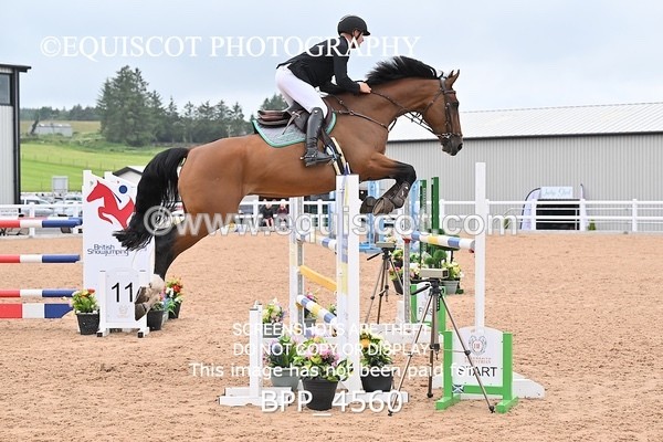 BPP_4560 - CLASS 5 WED Redpost Equestrian Senior Foxhunter/1.20m Open