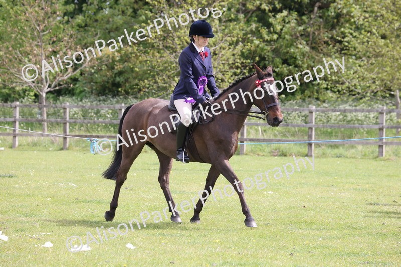 20260426-4061 - Class 33 - Best Pony 14.2hh and Under