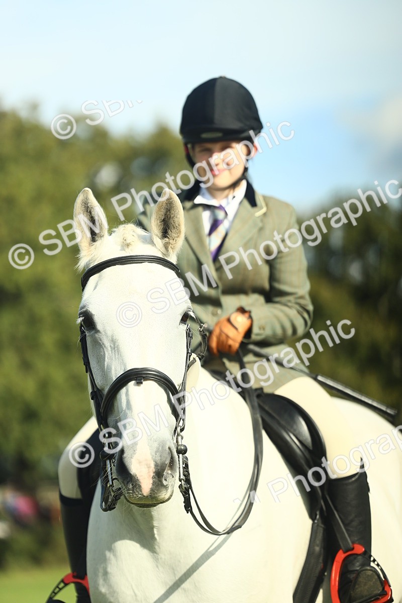 SBM_49886 - S32 - Novice & Newcomers Working Hunter