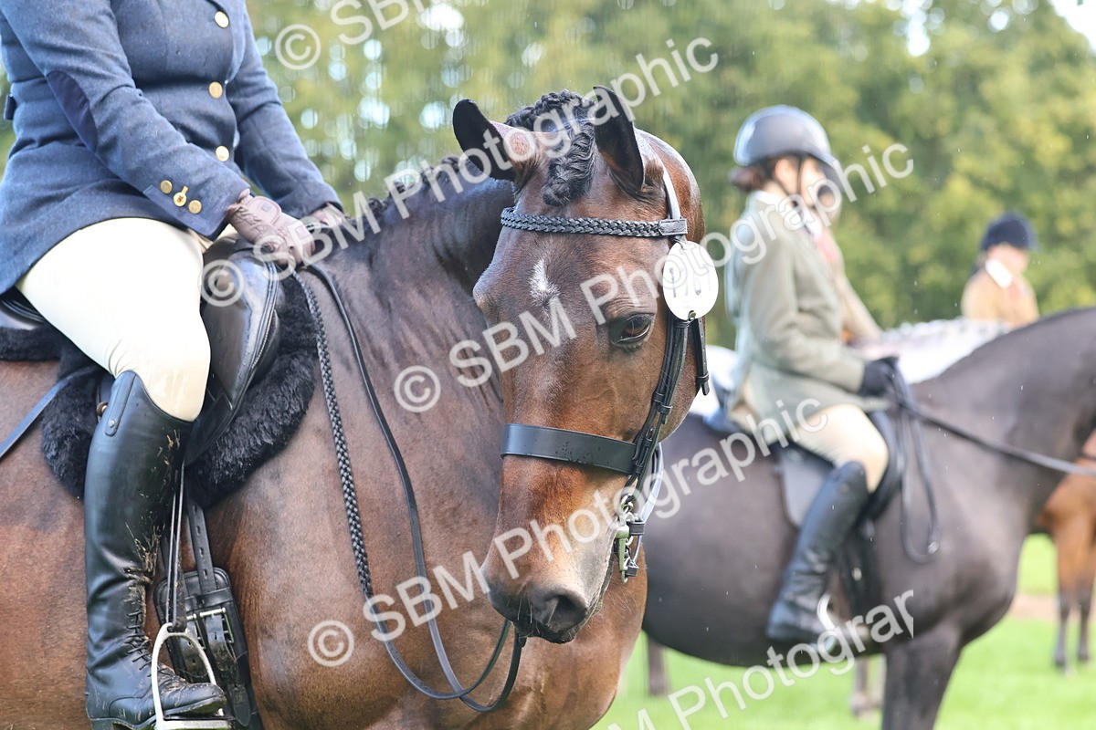 SBM_36885 - S11 - Best Ridden Horse & Pony