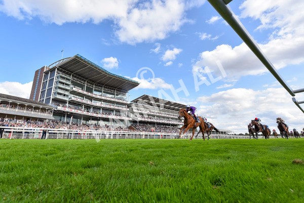 230824-Race 6-Angelo Buonarroti-4371 - Race 6 4.45pm British Stallion Studs EBF Convivial Maiden Stakes