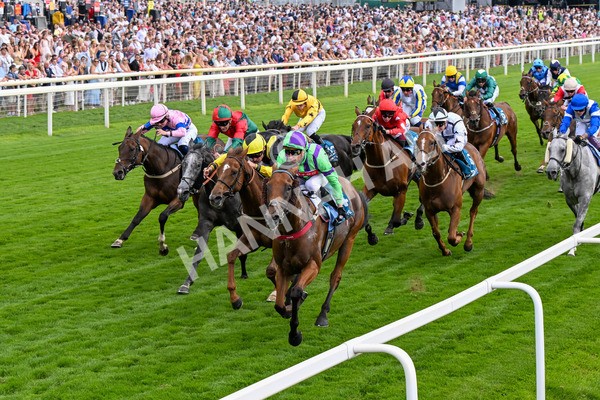 260725-Race 6-Billyb-0816 - Race 6 4.25pm Sky Bet Go-Racing-In-Yorkshire Summer Festival Handicap