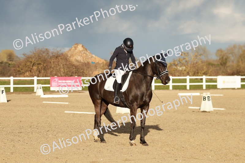 20260314-6346 - CT7 - Elementary 2