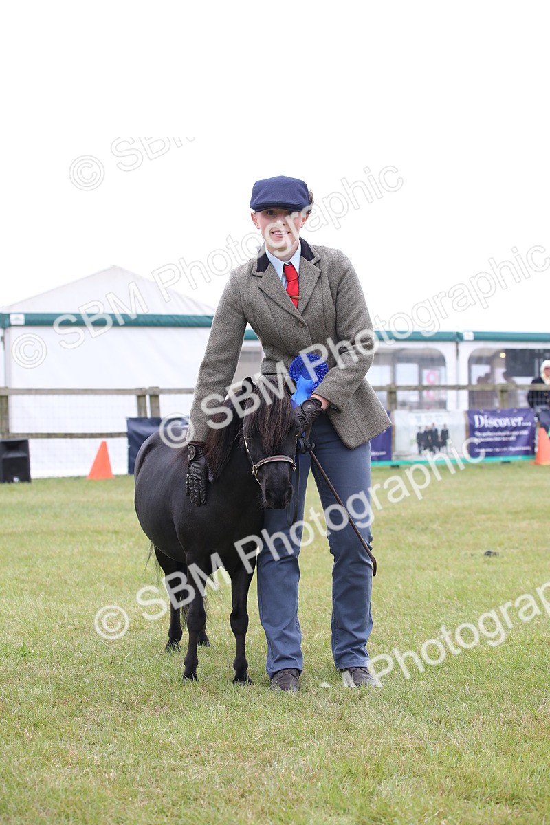 SBM_04016 - Class 23-25 - British Miniature Horse of the Year