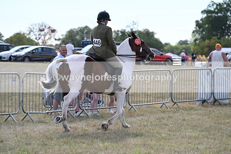 WJ7_7706 - Ridden Championship