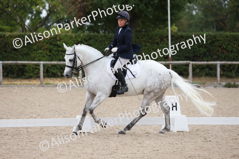 20250820-1153 - Class 17 - Elementary 4