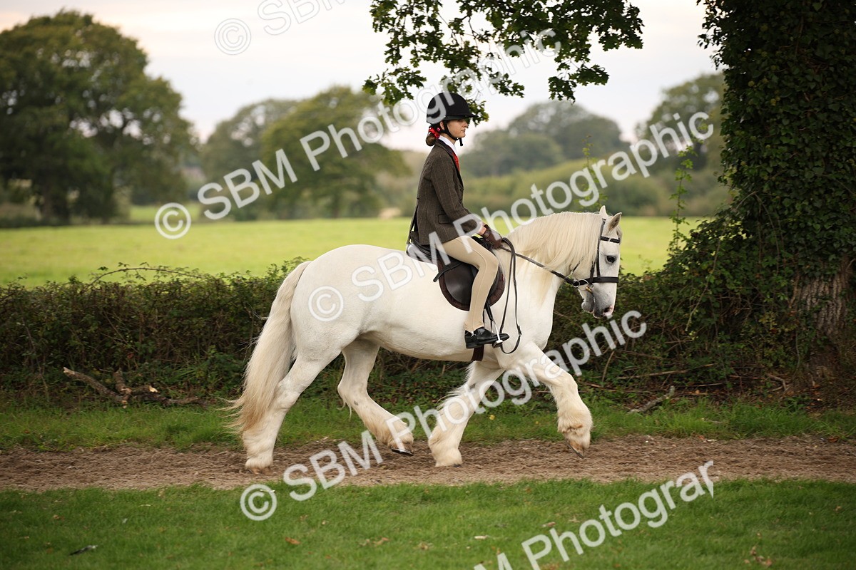SBM_73431 - S68 - Traditional Cob Ridden