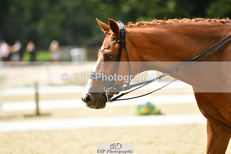 250718A-141159-02021 - 068-Stacey.Escrig-JOIE.DE.VIVRE.III