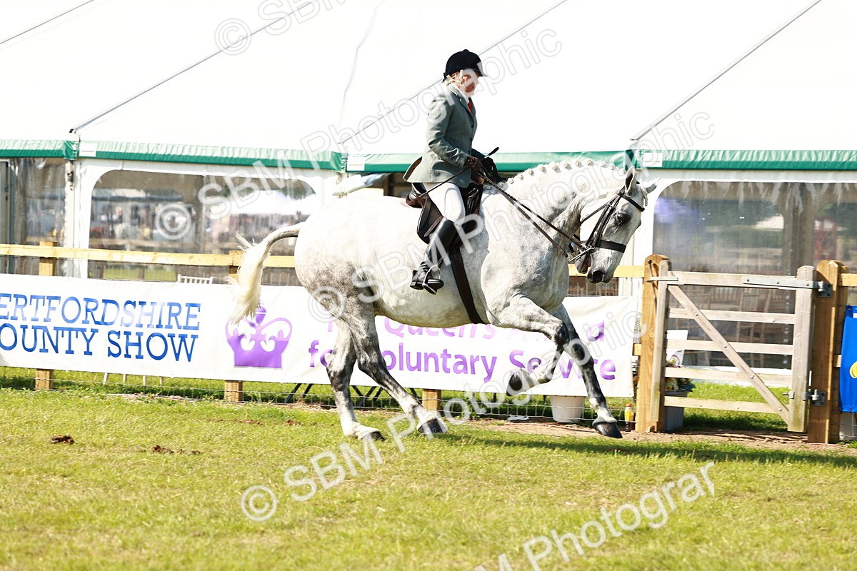 SBM_11955 - Class 66-69 - RIHS Ridden Hunters Inc Small Hunter