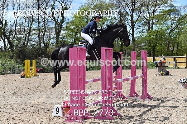BPP_2773 - FRI CLASS 4 95CM AM CHAMP QUAL