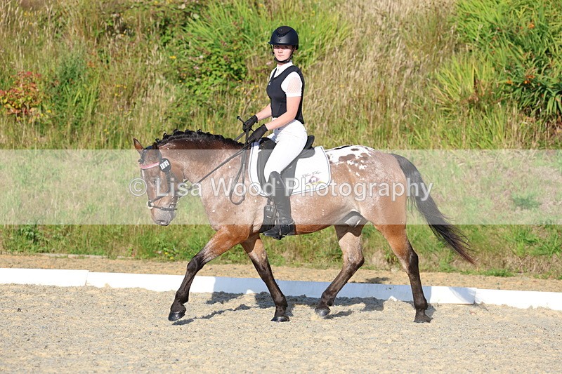 3E7A4010 - Class 3: Prelim 1 2024 Section A