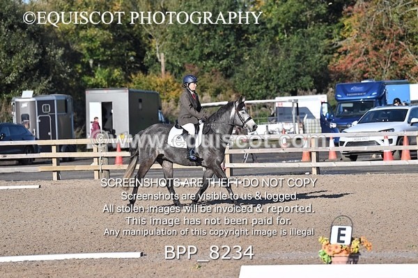 BPP_8234 - SHORT ARENA