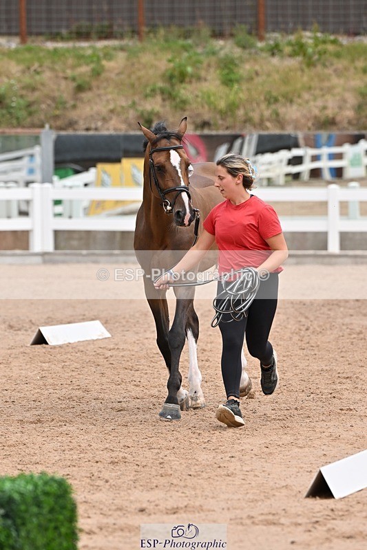 250716-142812-01102 - Trot Up 1.30 to 2.30