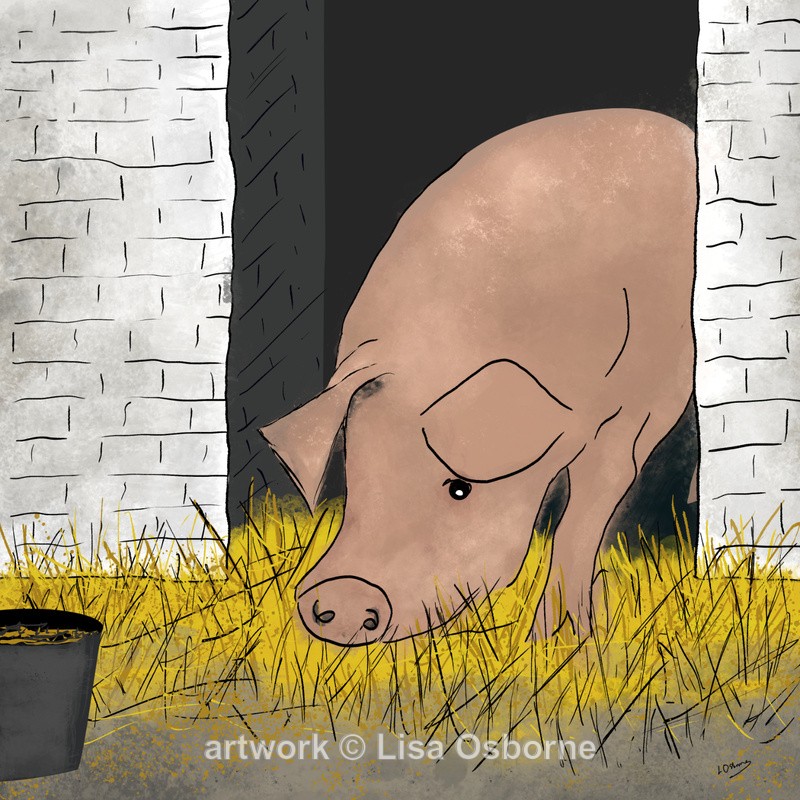 Looking for dinner - Animals