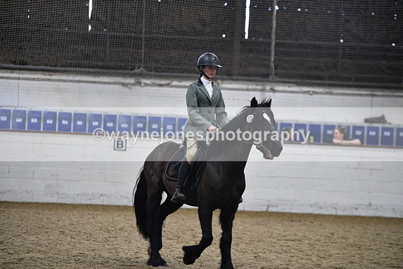 WJ5_7870 - Class 13 Ridden Part Breed
