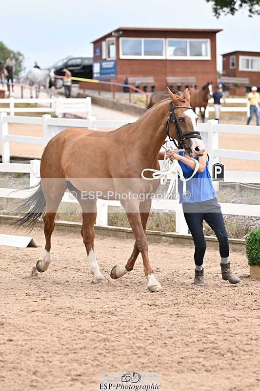 250716-150632-01630 - Trot Up 2.30 to 3.30