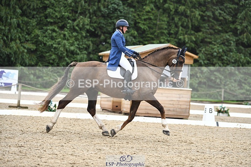 240720-160325-06373 - 142-Amberley_Pugsley-Hero_A