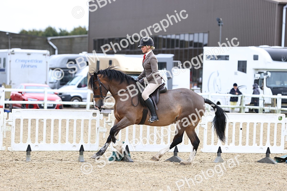 SBM_006964 - Class 29 - 30 - M&M Pure Novice Small-Large Breeds