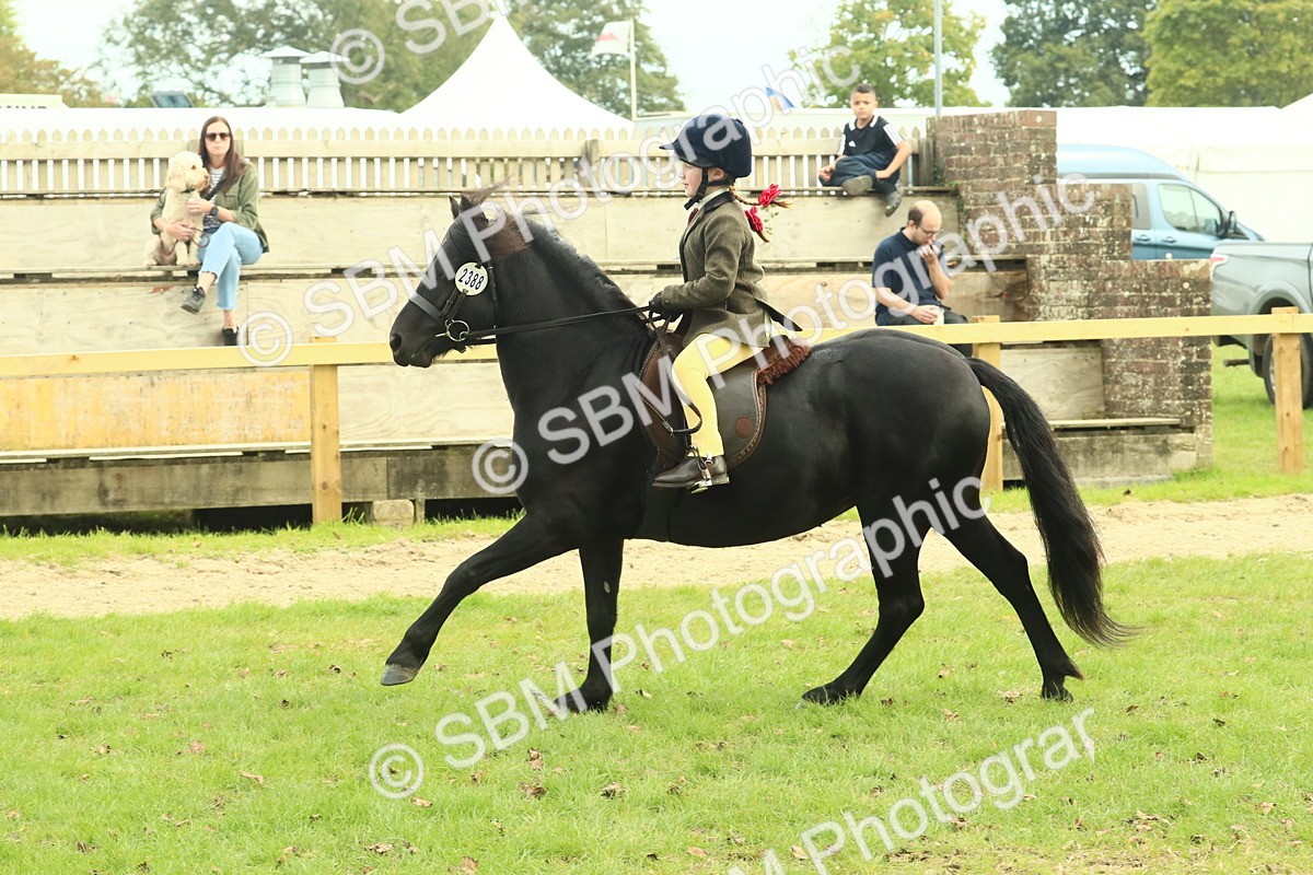 SBM_69970 - S59 - Mountain & Moorland Ridden Small Breeds
