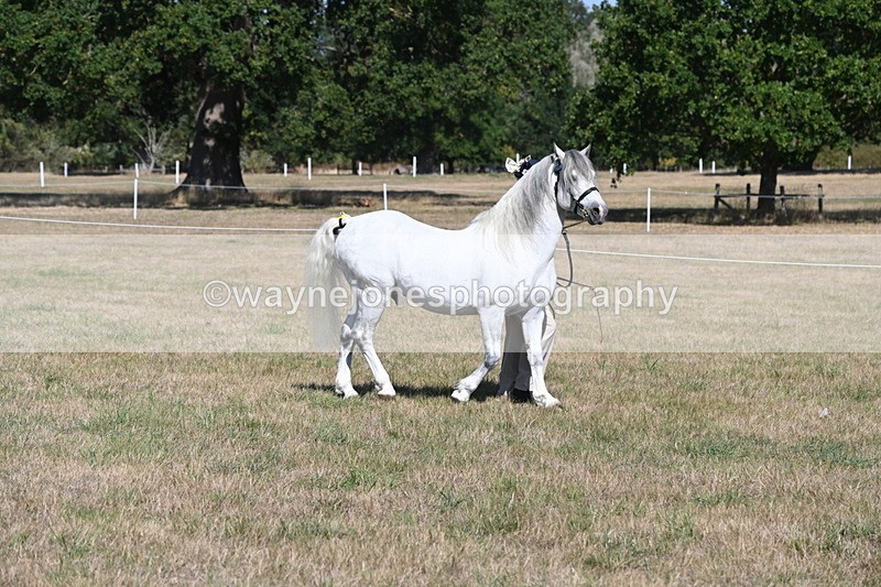 WJ6_4415 - Class 17 Mountain & Moorland