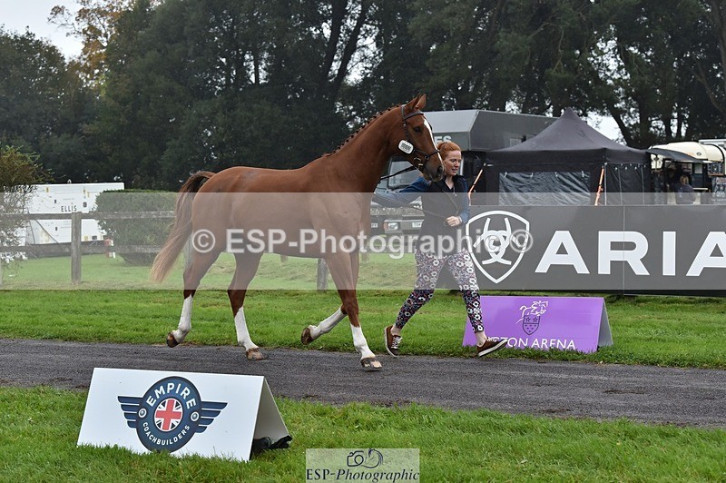 231018-115930-00022 - 066-FJK.OVER.AND.OUT-Alicia.Wilkinson-TrotUp