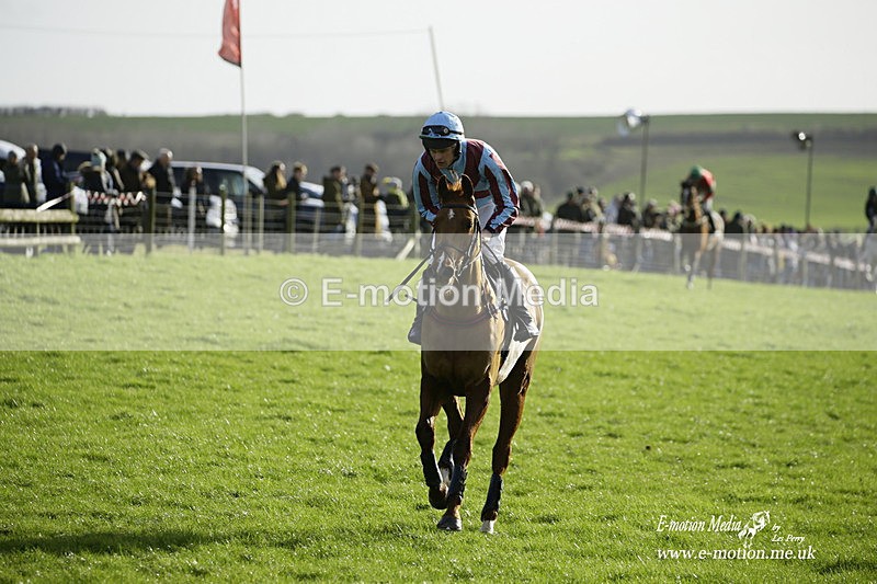 PtP 300122 306 - South Dorset Hunt - Point-to-Point Races 30/01/2022