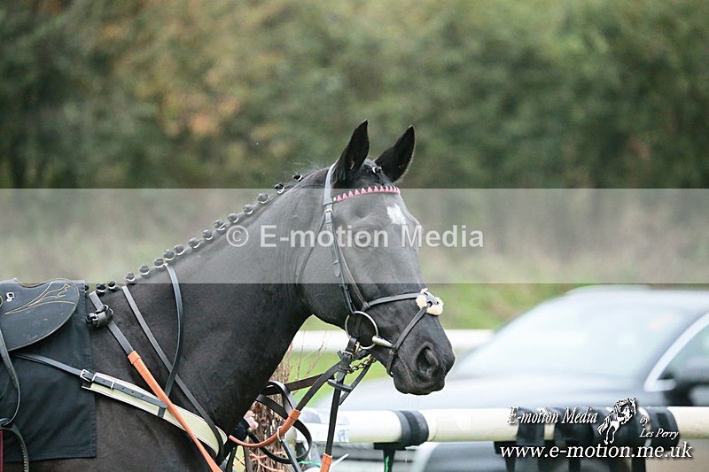 PtP 091124  235 - Knightwick Races Point-to-Point 09/11/24