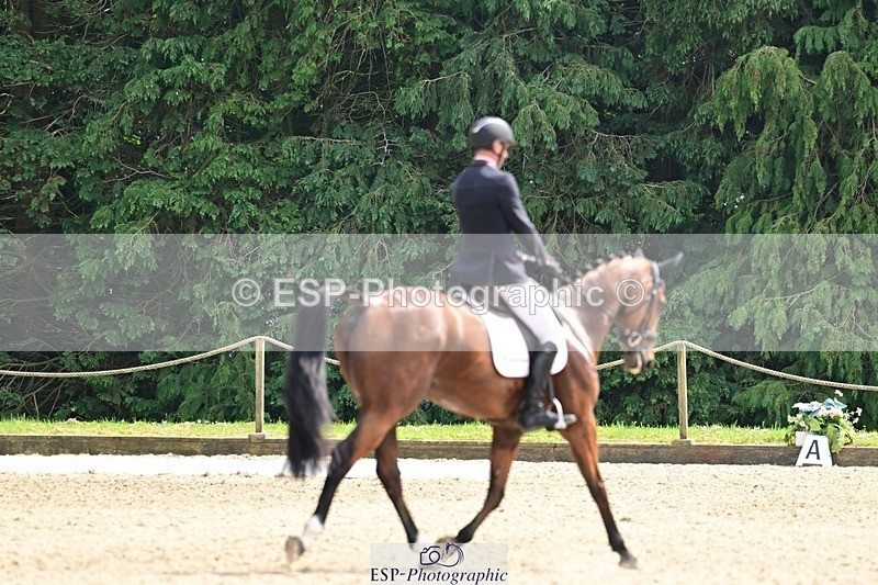 260528A-152013-04252 - C-315-Hector.Payne