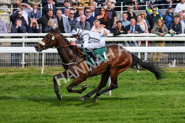 yr13052022r5-20 - Race 5 4.10pm Paddy Power 'Fill Thi Boots' Stakes